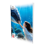 Rathna CR 40Pgs Single Ruled Book