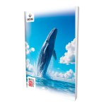 Rathna CR 80 Pages Single Ruled Book